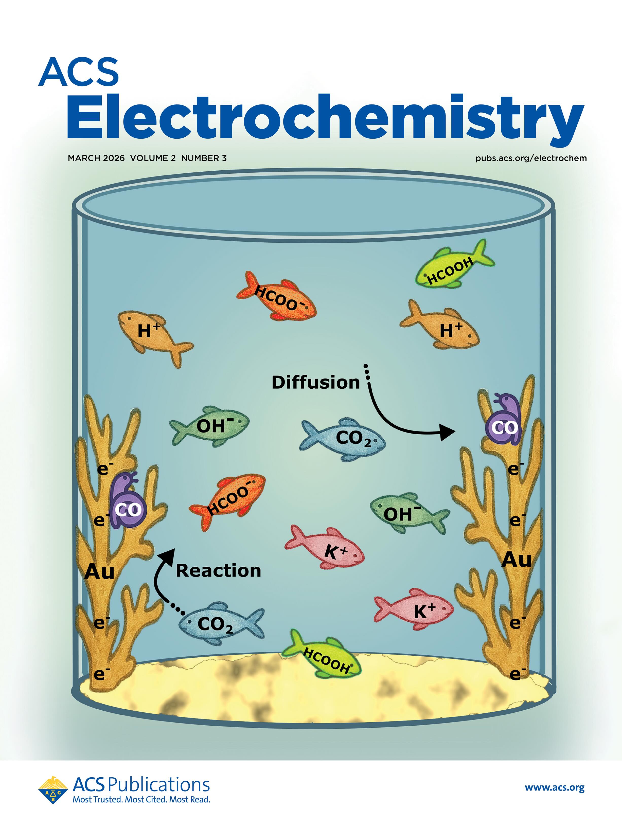 ACS Electrochem. cover